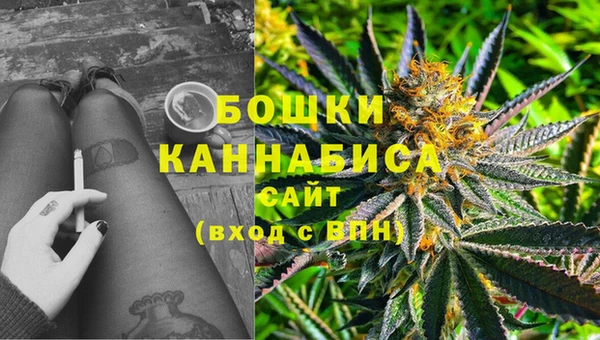сатива Алзамай
