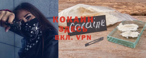 стафф Алексин