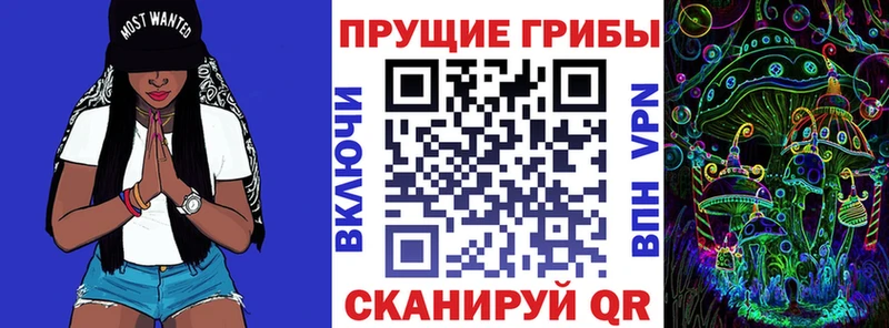 Псилоцибиновые грибы прущие грибы цена наркотик Петровск-Забайкальский